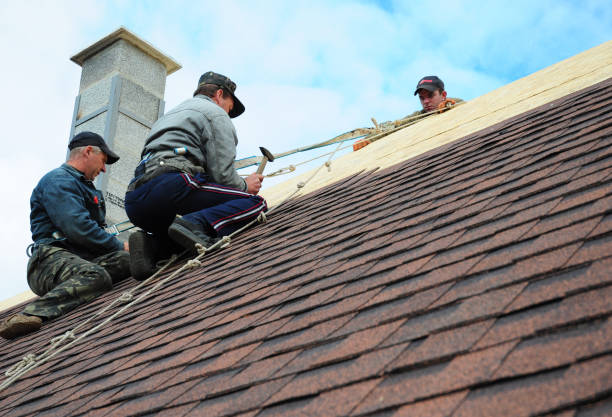 Roof Gutter Cleaning in Gulf Breeze, FL